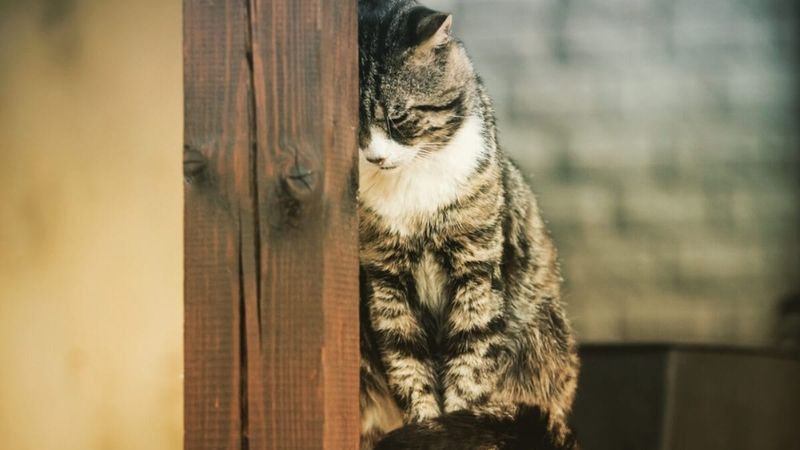 Seeking Unusual Solitude