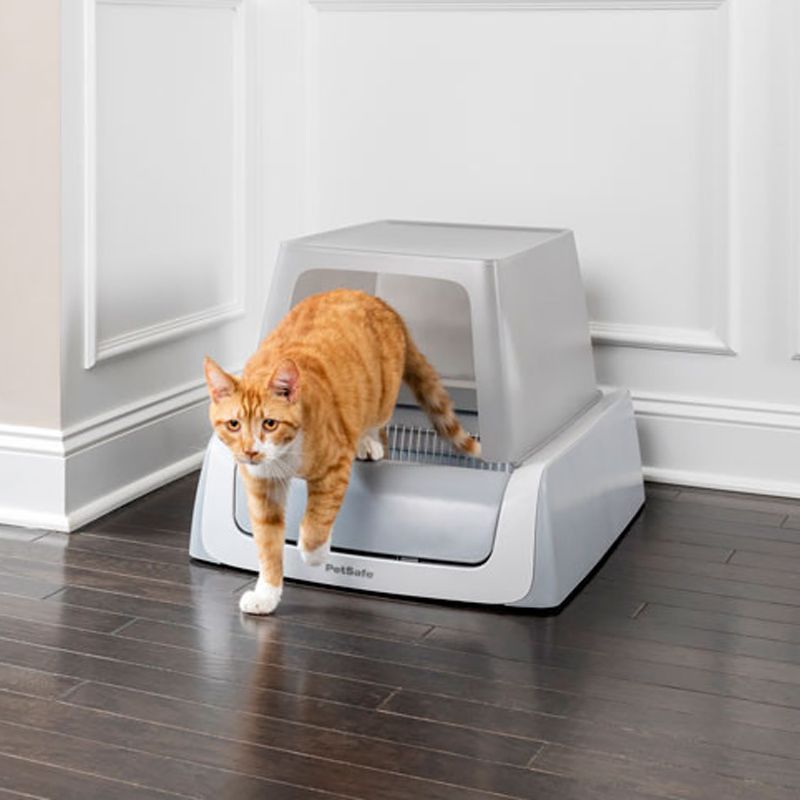 Self-Cleaning Litter Box