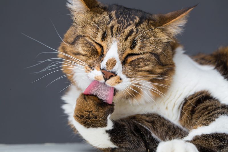 Self-Soothing Techniques