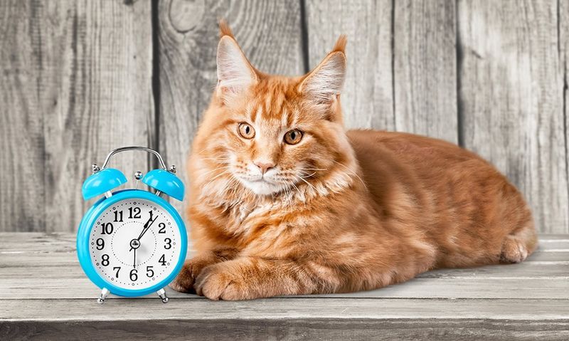 Sense of Time