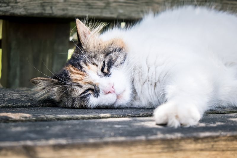 Severe Lethargy