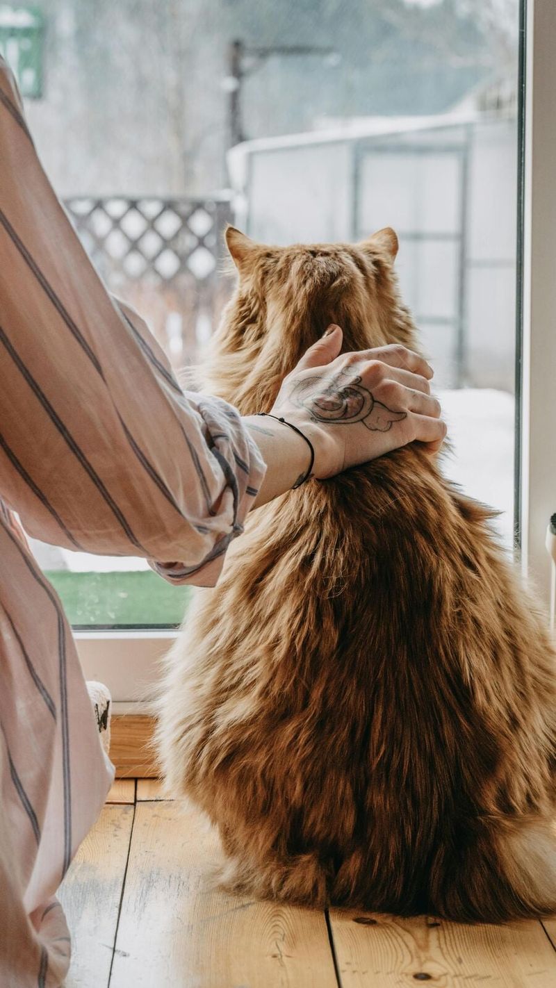 Sign 1: You're Looking For a Low-Maintenance Pet
