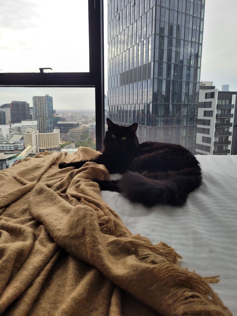 Sign 2: You Live In An Apartment