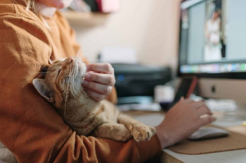 Sign 5: You Have a Busy Lifestyle