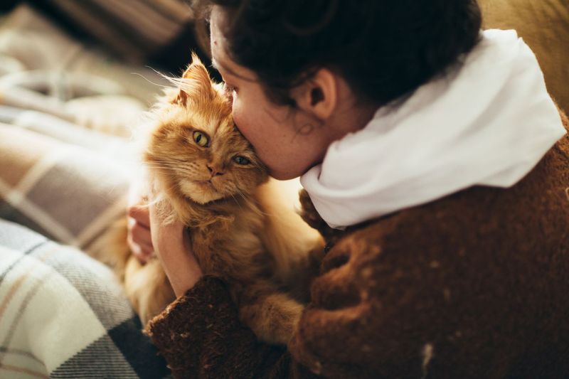 Silent Emotional Support Animals