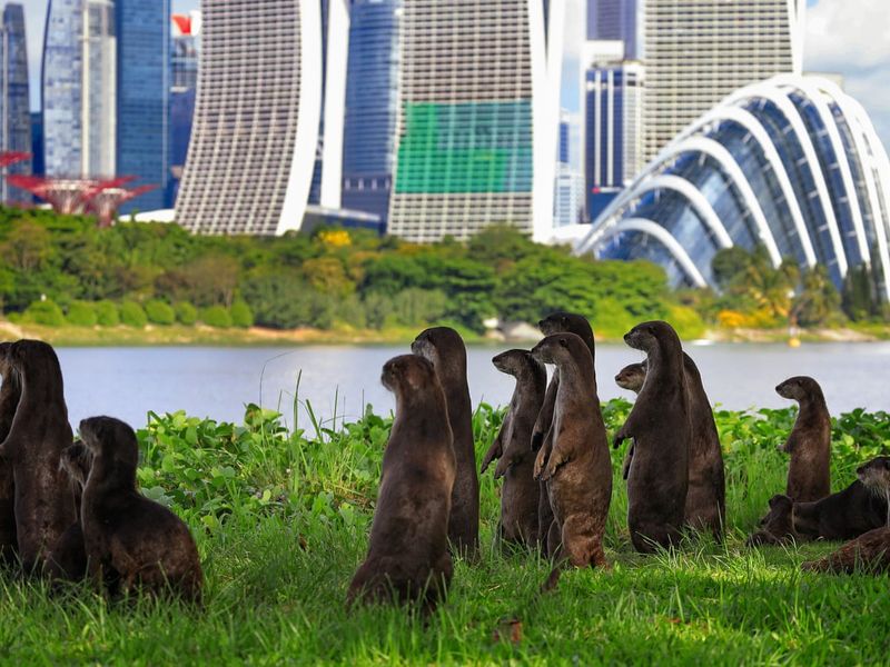 Singapore