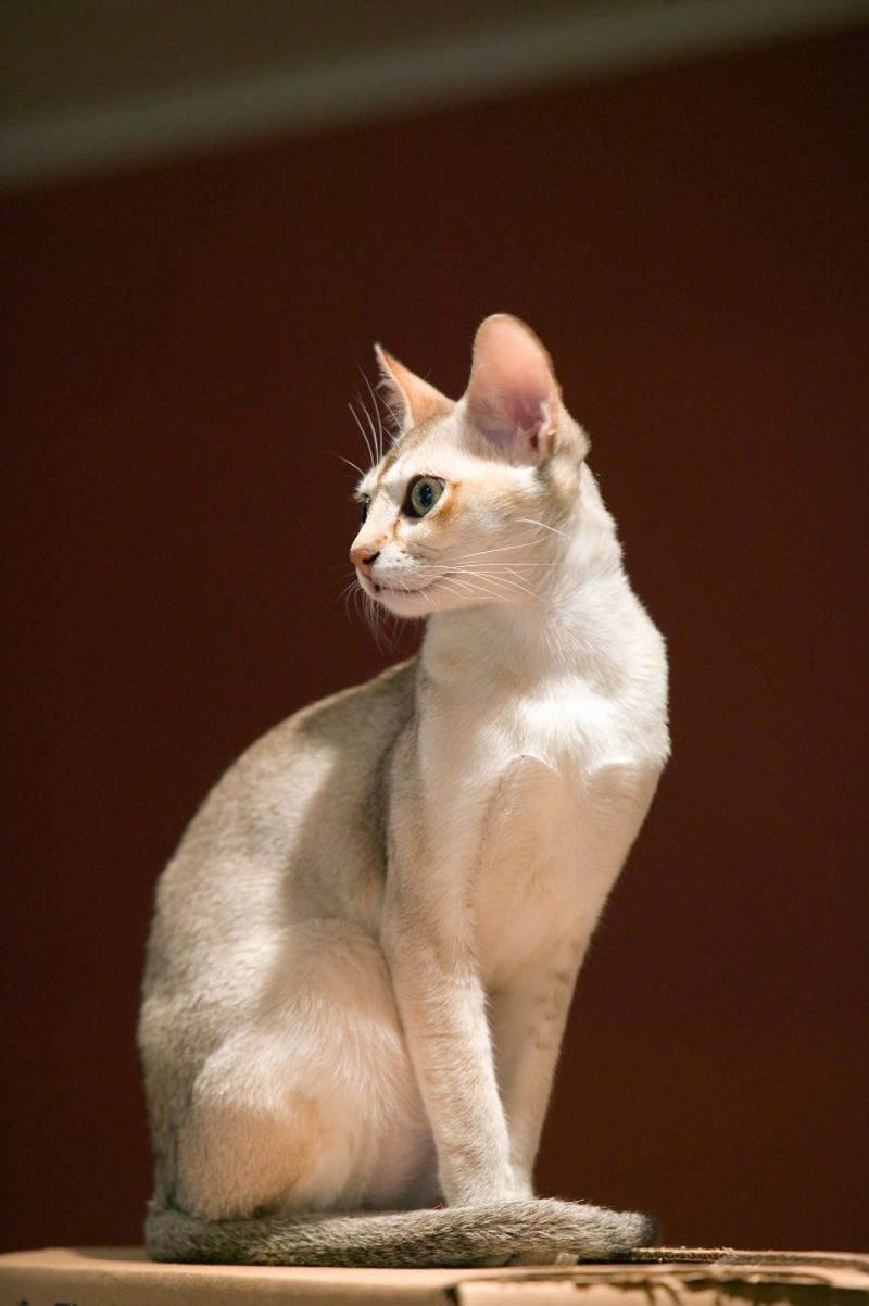 Singapura