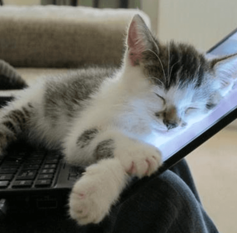 Sitting On Your Stuff While You're Using It
