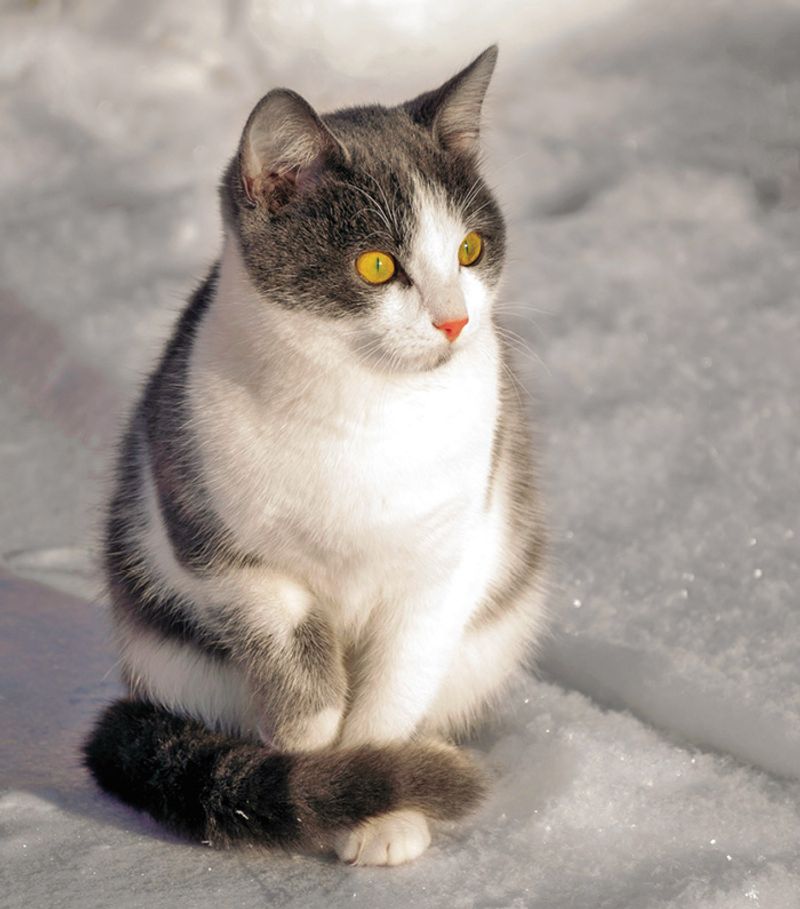 Sitting Perfectly Still for Long Periods
