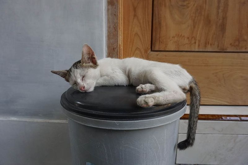 Sleeping More in Unusual Places