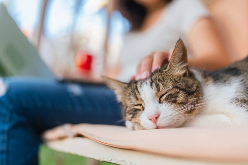 Sleeping Near (Or On) You