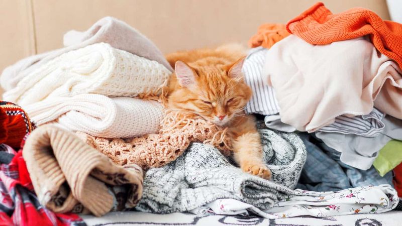 Sleeping On Your Clothes (Even The Dirty Ones)