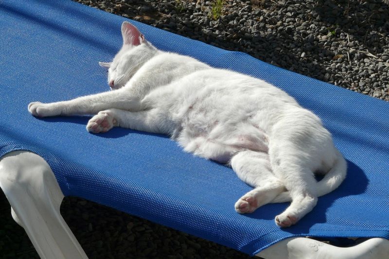 Sleeping Positions Relax