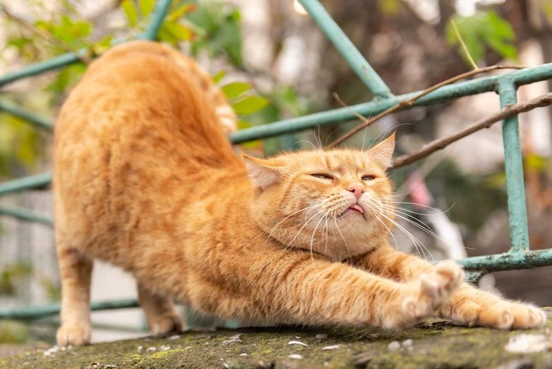 Slow, Deliberate Stretching