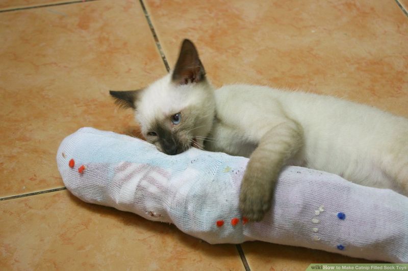 Sock Fish
