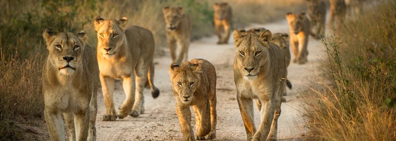 South Africa