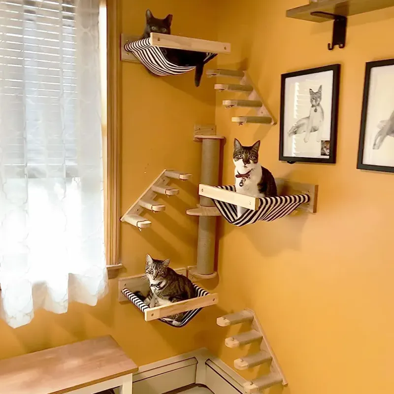Staircase Step-Up