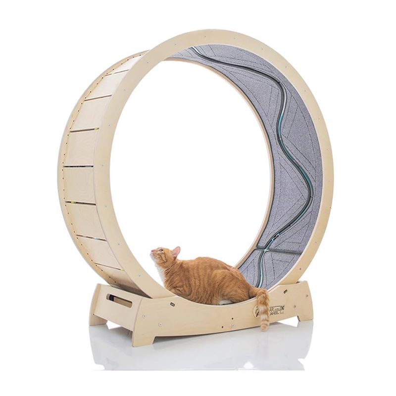 Star Cat Wheel