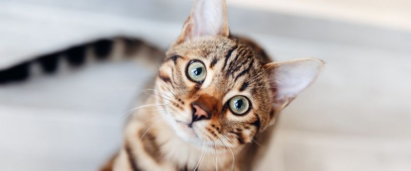 Staring At You Intensely