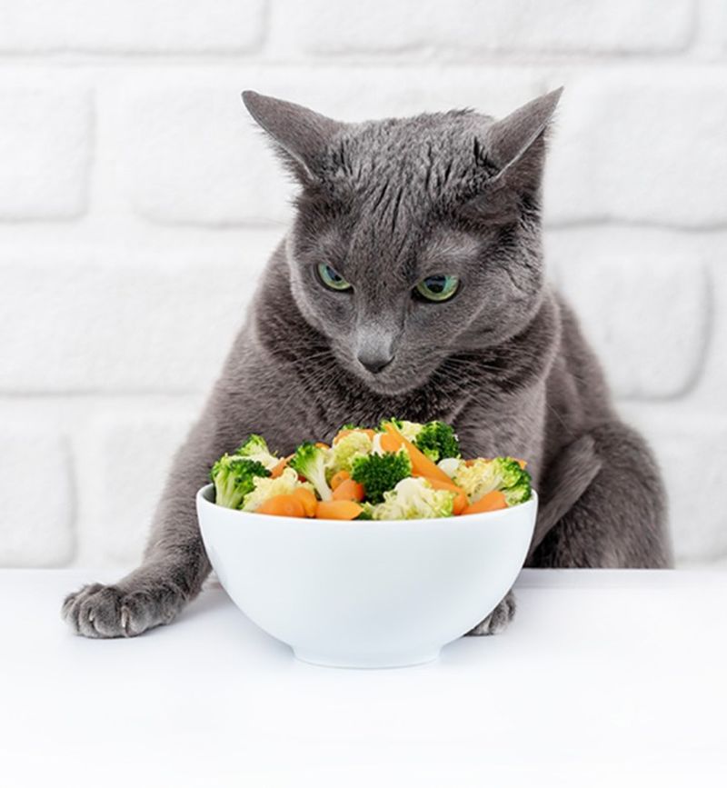 Steamed Broccoli
