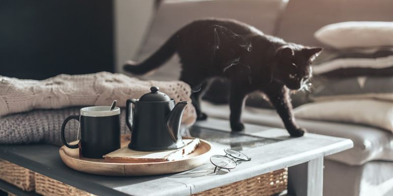 Strategic Furniture Repositioning