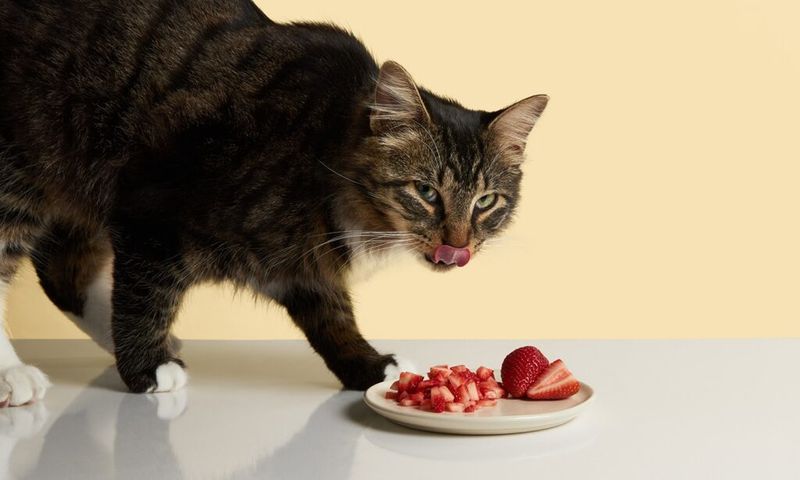 Strawberry Pieces