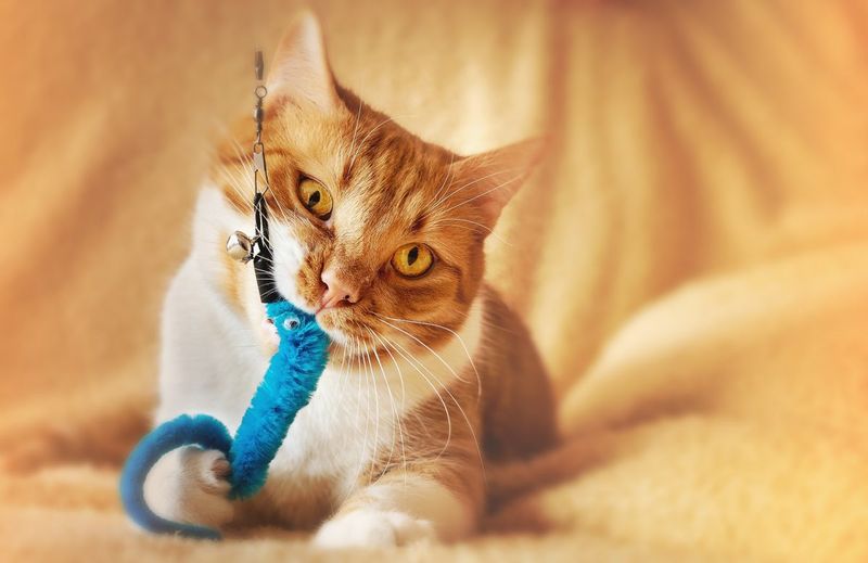 String and Yarn