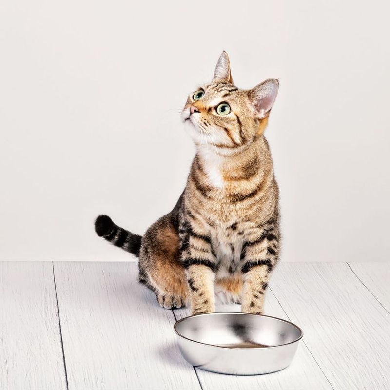 Supporting Local Farmers and Pet Food Producers