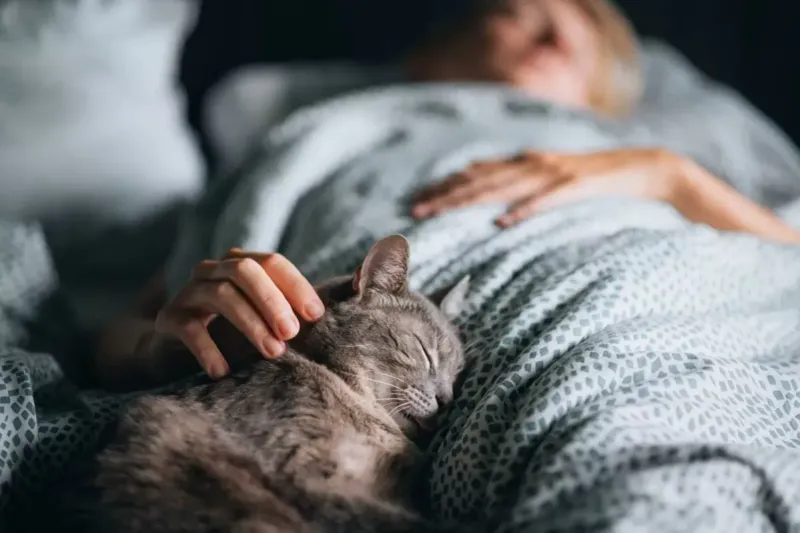 Synchronized Sleeping Schedules
