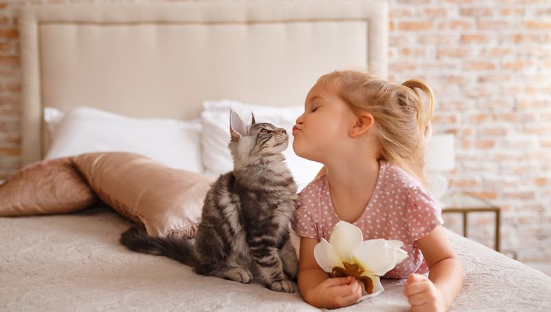 Teaching Children Responsibility