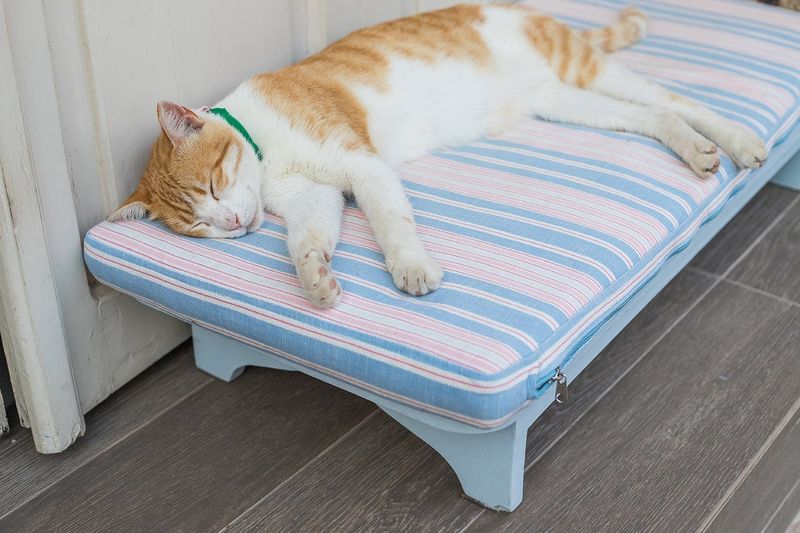 Temperature-Controlled Resting Spots