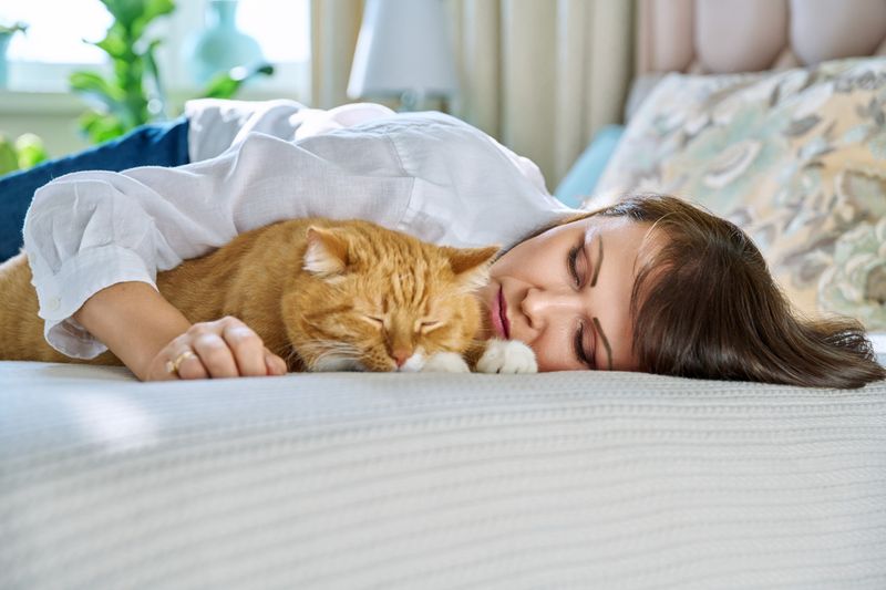 The Bedside Companion