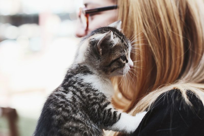 The Companionable Grooming