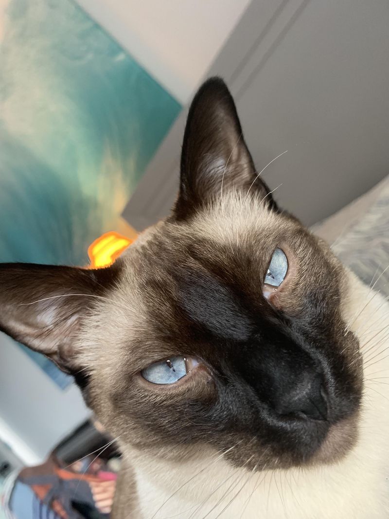 The Cross-Eyed Trait