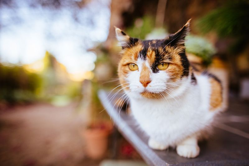 The Lingering Goodbye Glance