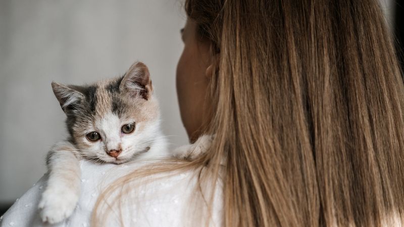 The Person Who Rescued Them