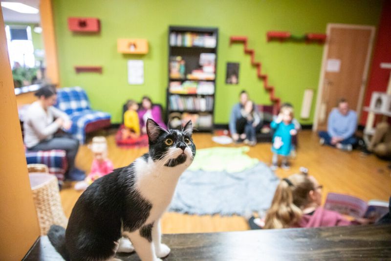 Tiny Lions Lounge – Ann Arbor, MI