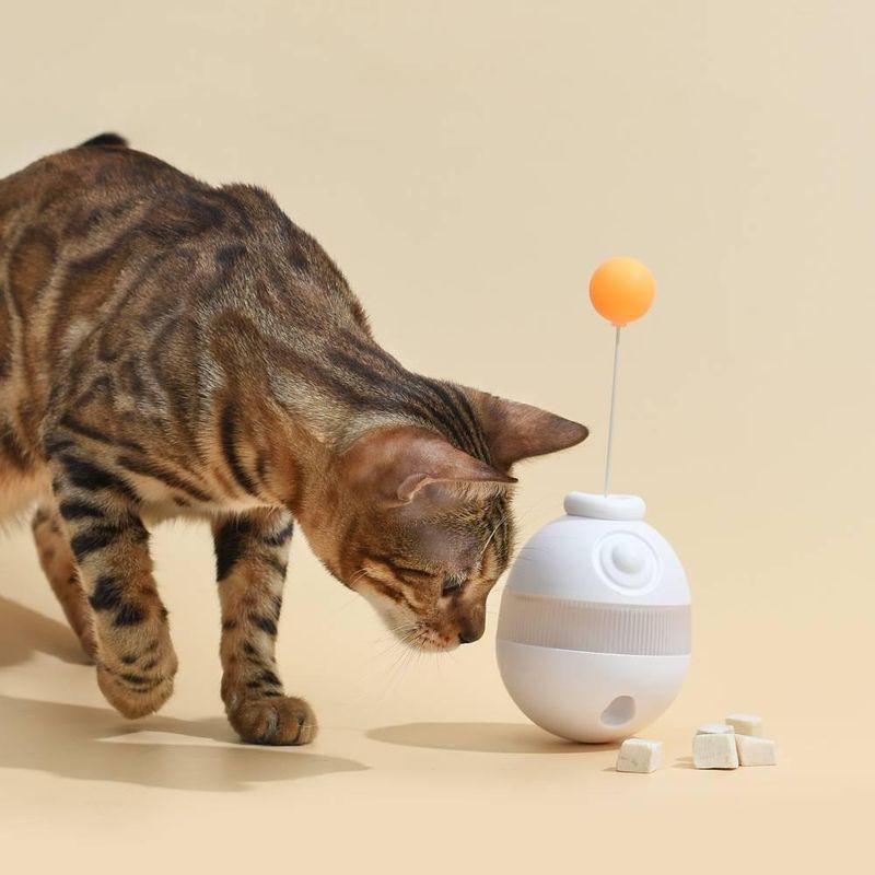 Treat-Dispensing Balls