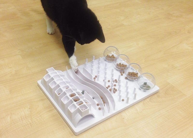 Treat-Dispensing Puzzle Toys