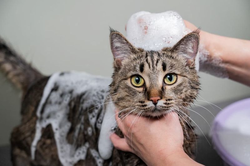 Try an Oatmeal Bath
