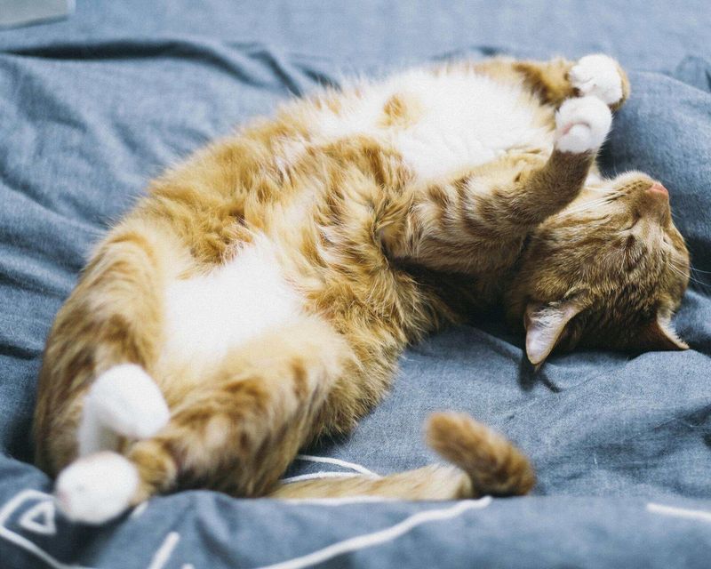 Tummy Exposure During Sleep