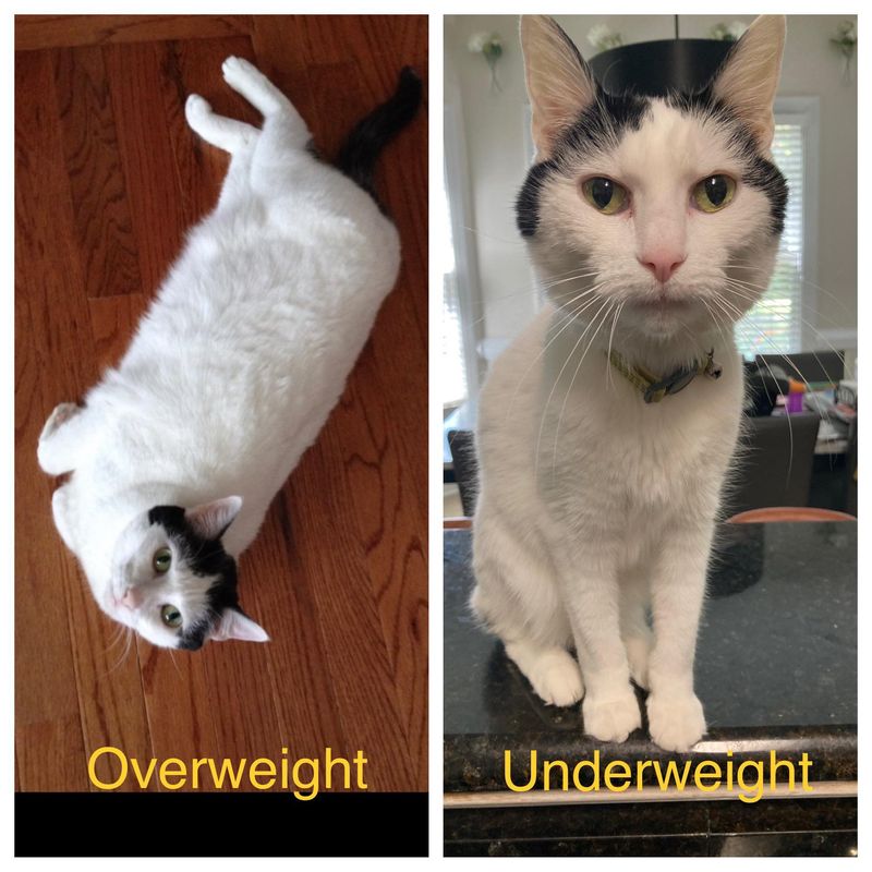 Unexplained Weight Changes