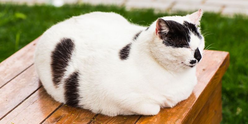 Unusual Body Positioning