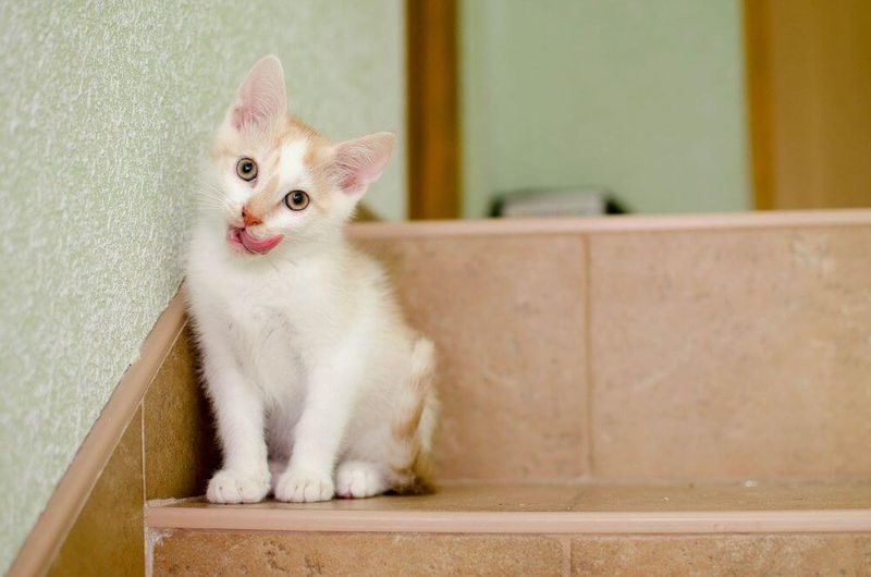 Unusual Head Tilting