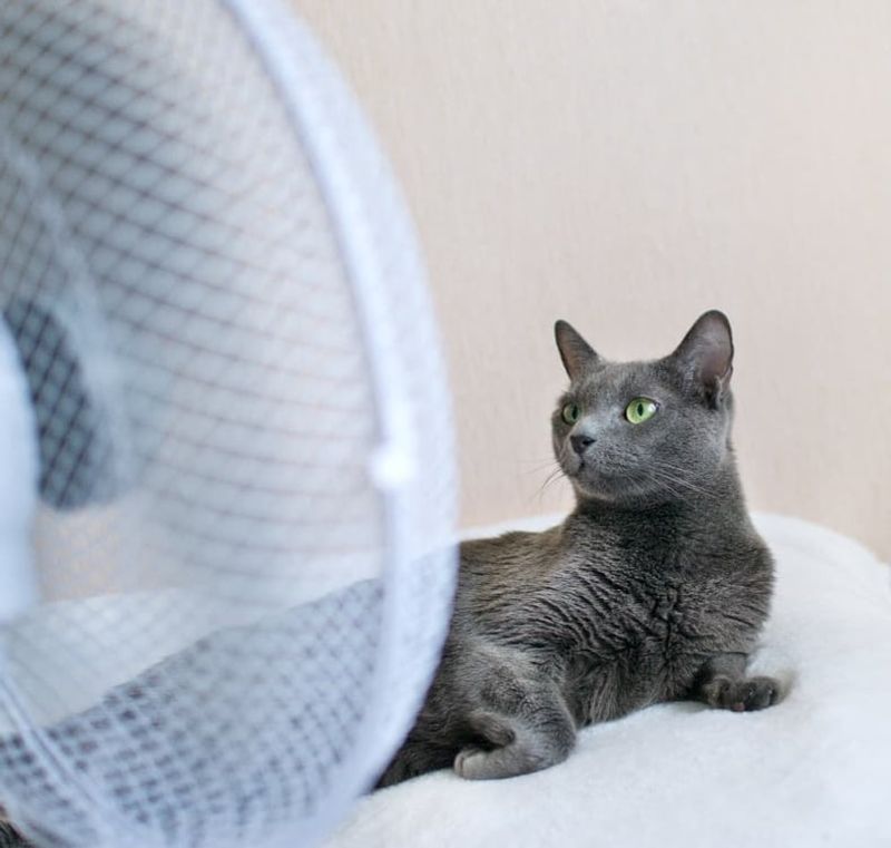 Use Fans or Air Conditioning