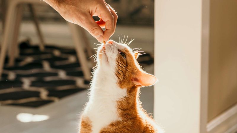 Use Positive Reinforcement