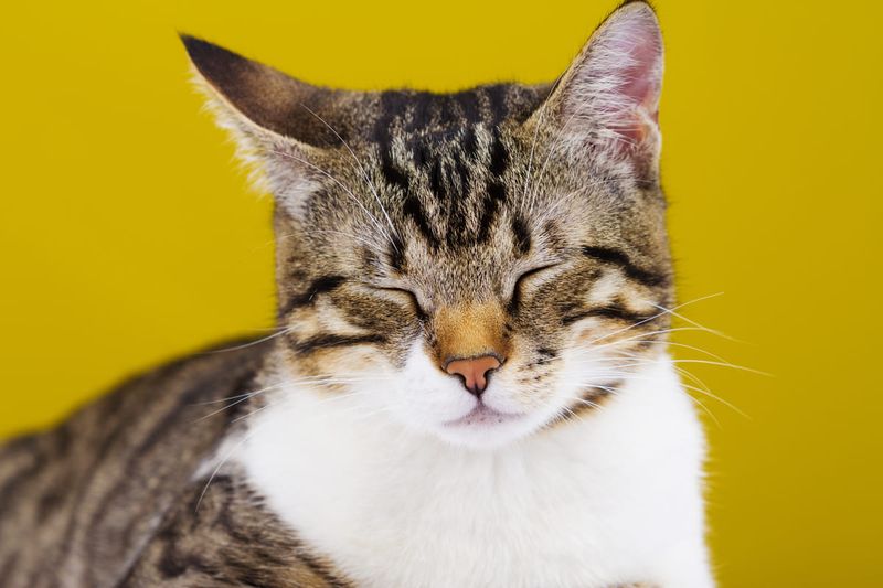 Use Slow Blinking Communication