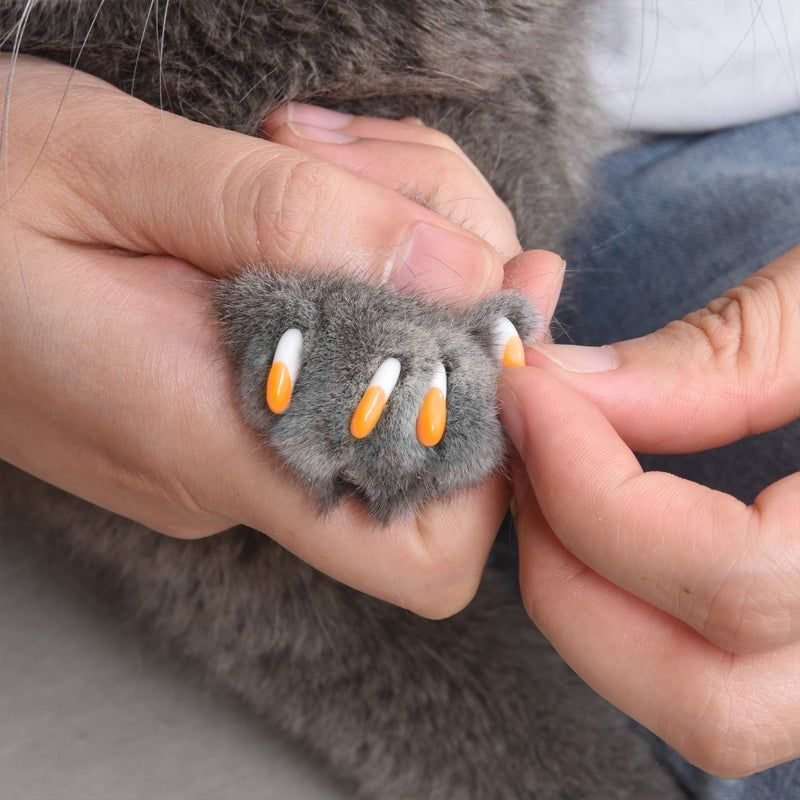 Use Soft Nail Caps