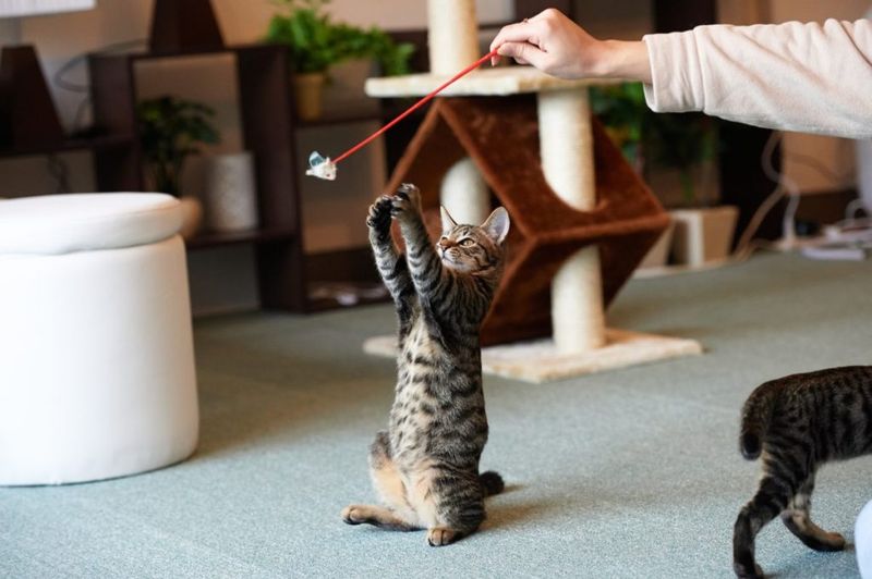 Using Inappropriate Toys