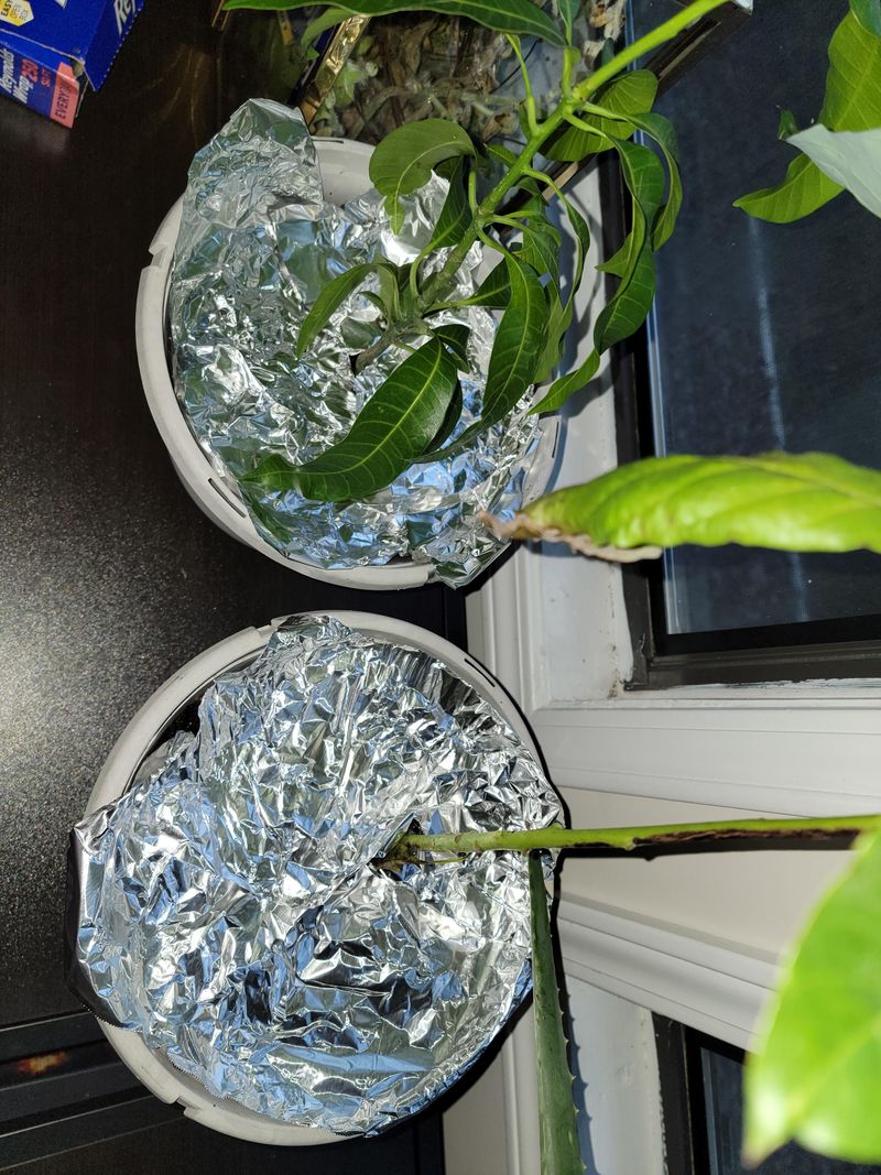 Utilize Aluminum Foil